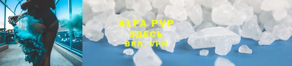 ПСИЛОЦИБИНОВЫЕ ГРИБЫ Новодвинск